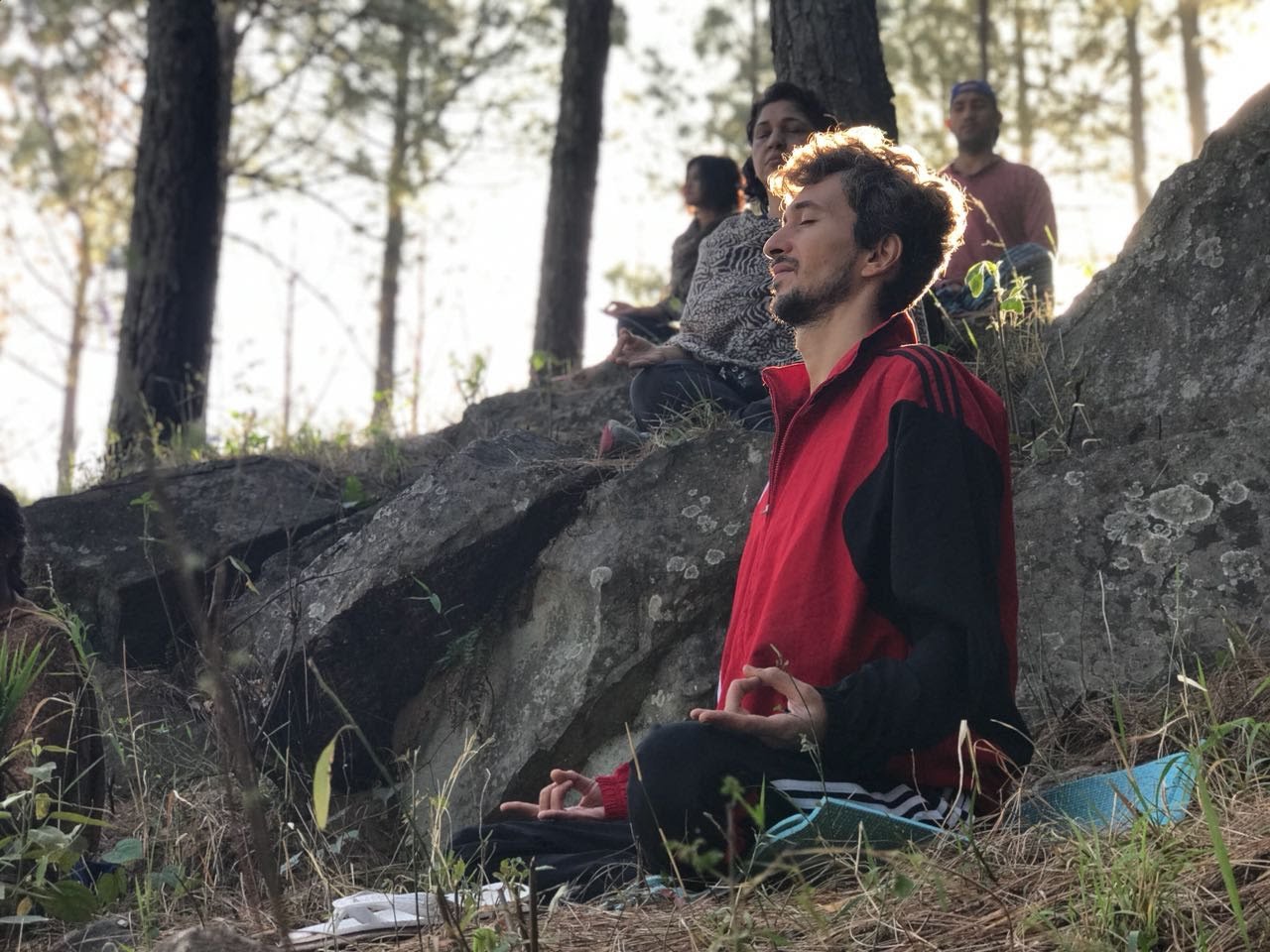 Students sit in seated meditation with gyan mudra among Himalayan pine trees on a Yoga Bhawna Mission retreat.
