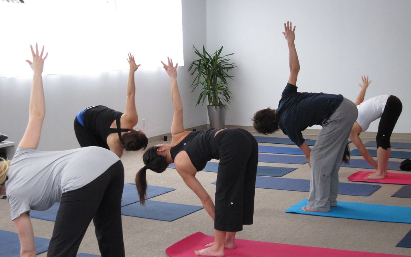 Hatha yoga in Japanese @ Semperviva